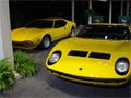 Andy's Spiders - Toronto 2011